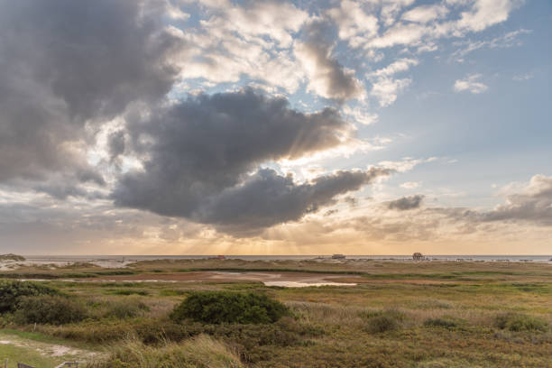 istock Dune landscape on the beach of St Peter-Ording 1214964279