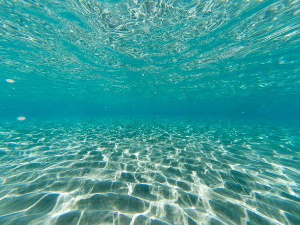 istock Under water photo of sandy seabed with sunlight trough water surface. 1214965134