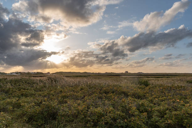 istock Dune landscape on the beach of St Peter-Ording 1214965462