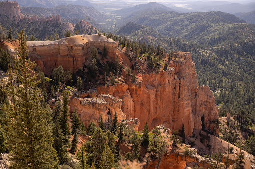 Bryce Canyon National Park environment in august.