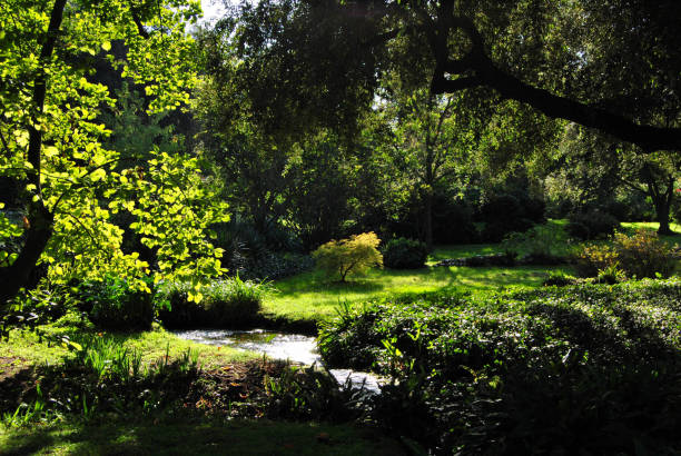 istock Garden of Ninfa 1214969962