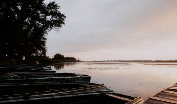 istock Fishing tray in the forest at sunset 1214972442