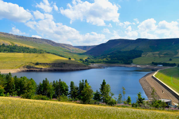 Dovestone Reservoir in summer Dovestone Reservoir lies where the valleys of the Greenfield and Chew Brooks canverge together above the village of Greenfield, on Saddleworth Moor in Greater Manchester reservoir photos stock pictures, royalty-free photos & images