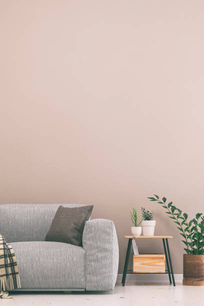 Empty living room with gray sofa, table and decoration