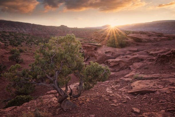 istock Capitol Reef National Park environment in Usa 1214976870