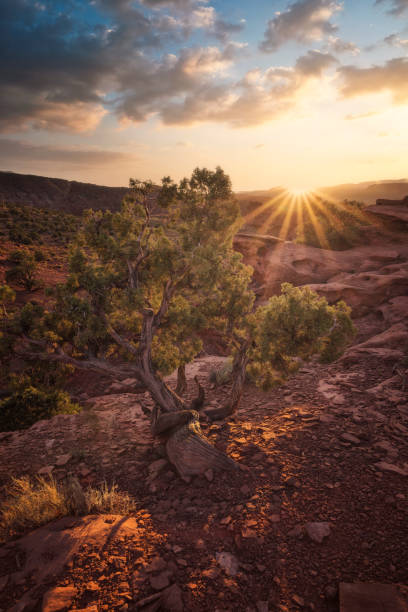 istock Capitol Reef National Park environment in Usa 1214976888