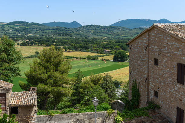 istock Spello and the countryside around 1214977139