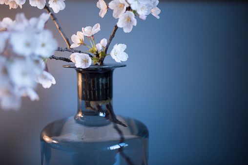 flowers in small bottle on white table in garden. Spring still life with flowers. blossoms in Brown glass with nature background.