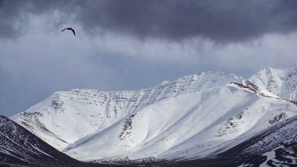 istock Flying over the snow mountain 1214977717