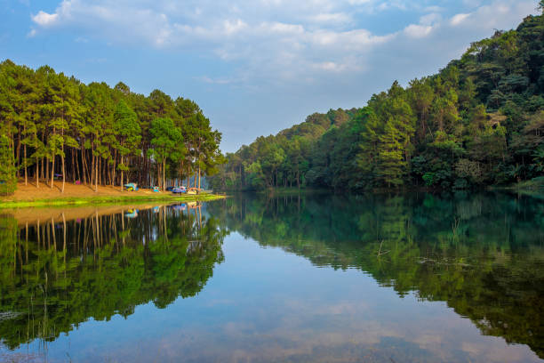 istock Thailand, Camping, Tent, Woodland, Forest 1214978401