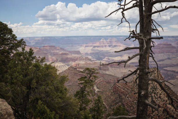 istock Grand Canyon National Park Environment 1214978947