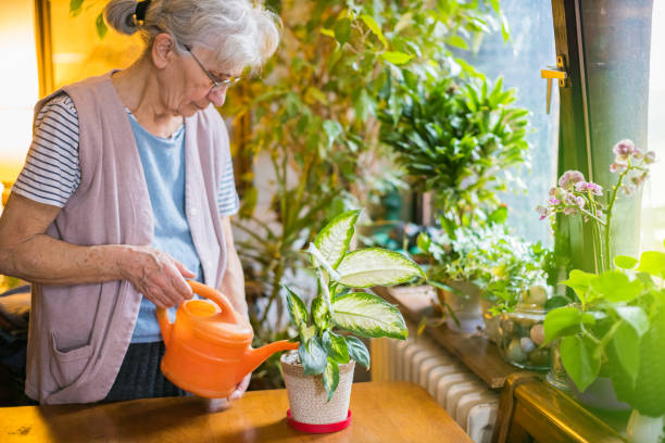 istock old woman watering flowers 1214981422