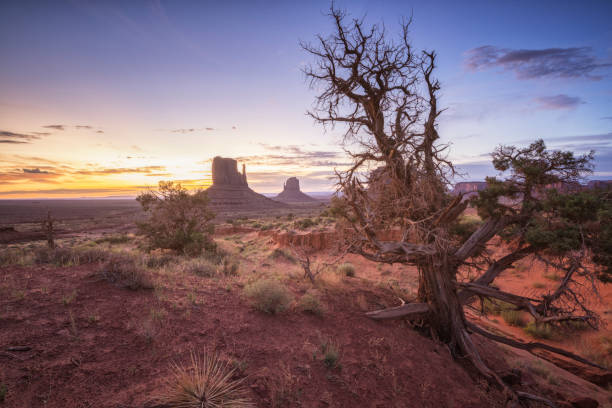 istock Monument Valley Navajo Reservoir environment 1214983647