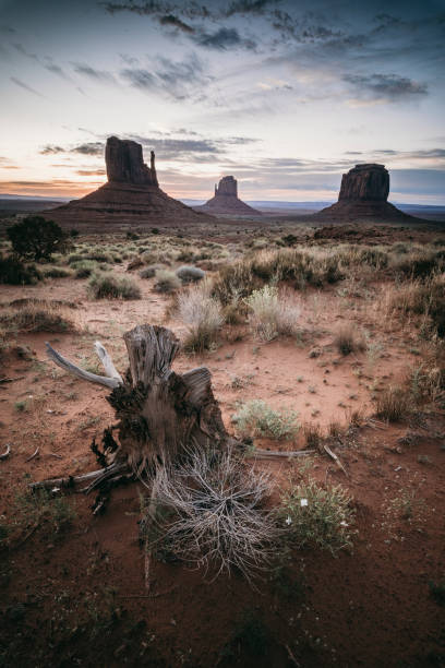 istock Monument Valley Navajo Reservoir environment 1214983658