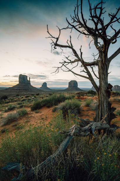 istock Monument Valley Navajo Reservoir environment 1214983669