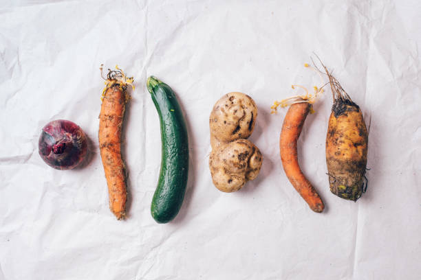 istock Spotted carrot, eggplant, beetroot. Ugly vegetables on grey background. Ugly food concept. Top view, flat lay. 1214984251
