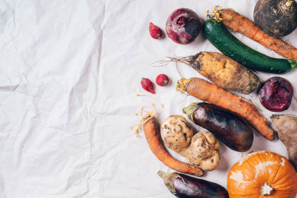 istock Ugly vegetables on grey background. Ugly food concept. Top view, flat lay. 1214984254