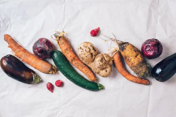 Ugly organic rotten vegetables with mutations on craft paper background. Concept of zero waste production. Copy space. Spoiled non gmo vegetables with dots. Compost.