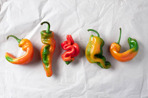 pimenta de sino feio no fundo de papel artesanal. conceito de produção de lixo zero. vista superior. copiar espaço. vegetais não transgênicos - pepper bell pepper market spice - fotografias e filmes do acervo