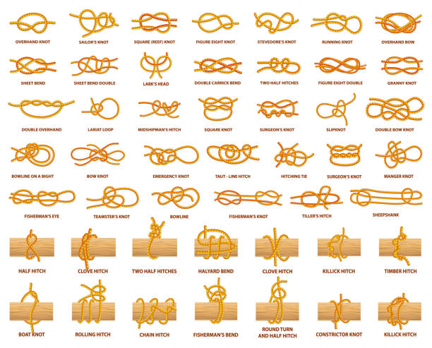 ilustraciones, imágenes clip art, dibujos animados e iconos de stock de todos los tipos de nudos demostrados con cuerda fuerte - tied knot illustrations