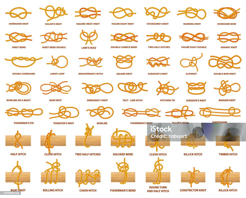 Tous Les Types De Noeuds D montr s Avec Une Corde Forte Vecteurs Libres tous-les-types-de-noeuds-d-montr-s-avec-une-corde-forte-vecteurs-libres