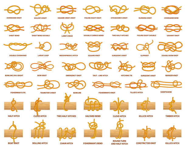 All Types of Knots Demonstrated with Strong Rope All types of knots demonstrated with strong rope. Strong and complicated knots with names. Rope tied over wooden plank isolated vector illustrations. hitchhiking stock illustrations