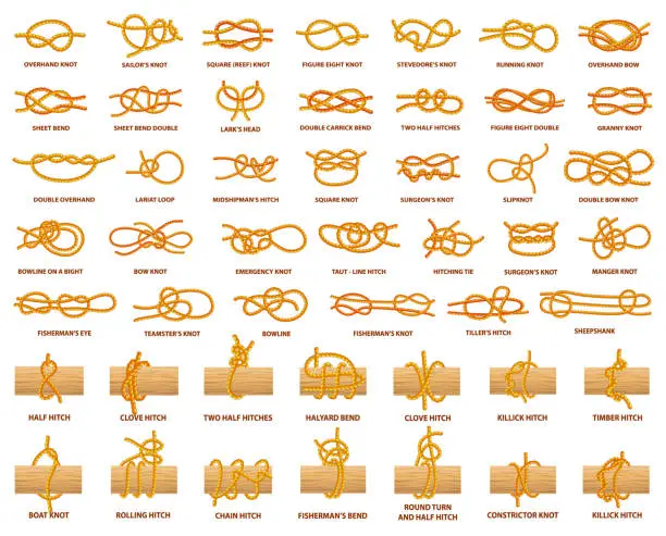 Vector illustration of All Types of Knots Demonstrated with Strong Rope