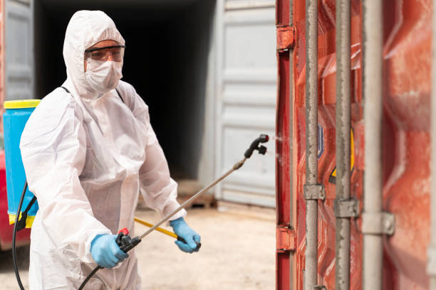 istock People wearing protective suits spray disinfectant chemicals on the cargo container to prevent the spreading of the coronavirus. 1214985856