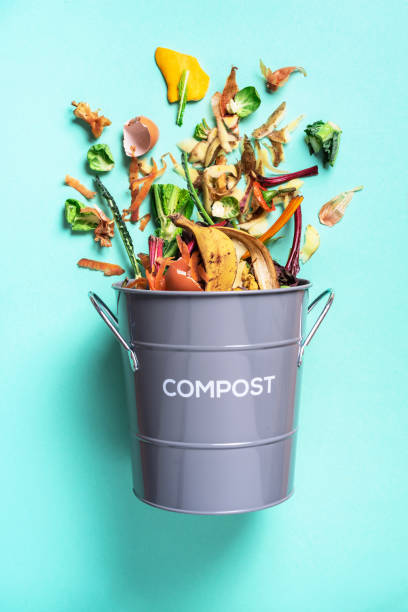 istock Peeled vegetables in white compost bin on blue background. Trash bin for composting with leftover from kitchen on blue background. Top view. Recycling scarps concept. Sustainable and zero waste lifestyle. 1214986419