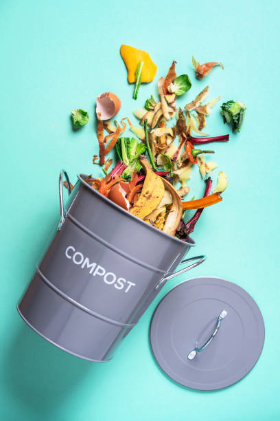 istock Trash bin for composting with leftover from kitchen on blue background. Top view. Recycling scarps concept. Sustainable and zero waste lifestyle 1214986586