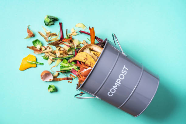 Trash bin for composting with leftover from kitchen on blue background. Top view. Recycling scarps concept. Sustainable and zero waste lifestyle stock photo