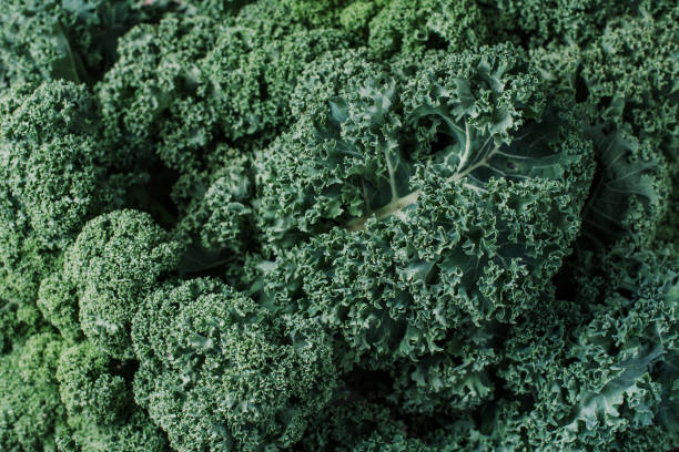 istock Fresh curly kale salads texture. Greens background. Top view. Zero waste, organic vegetables concept. Vegan and vegetarian diet food. 1214990267
