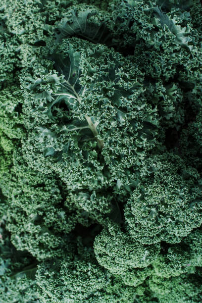 istock Fresh curly kale salads texture. Greens background. Top view. Zero waste, organic vegetables concept. Vegan and vegetarian diet food. 1214990362
