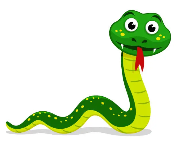 Vector illustration of The snake creeps and shows tongue. Viper on a white