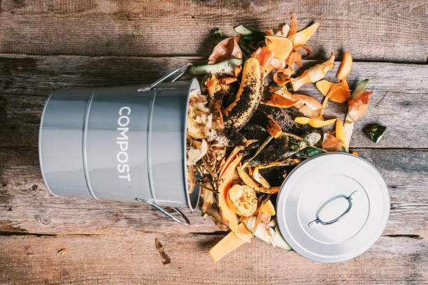 istock Recycle kitchen waste. Sustainable and zero waste living. Vegetable waste in recycling compost pot. Top view. Copy space. Peeled vegetables on chopping board, white compost bin on blue background. 1214991394