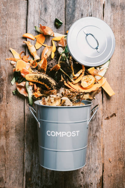 istock Garbage sorting. Organic food waste from vegetable ready for recycling in compost bin on wooden backgrond. Top view. Sustainable and zero waste living. Environmentally responsible behavior, ecology concept. 1214991425