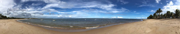 istock Praia do Forte Bahia Brazil. 1214991542