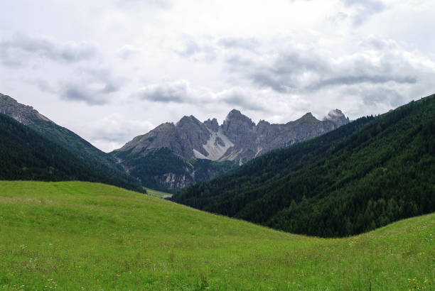 summer view to meadow and mountain range in axamer lizum area, tyrol, austria - nockspitze imagens e fotografias de stock