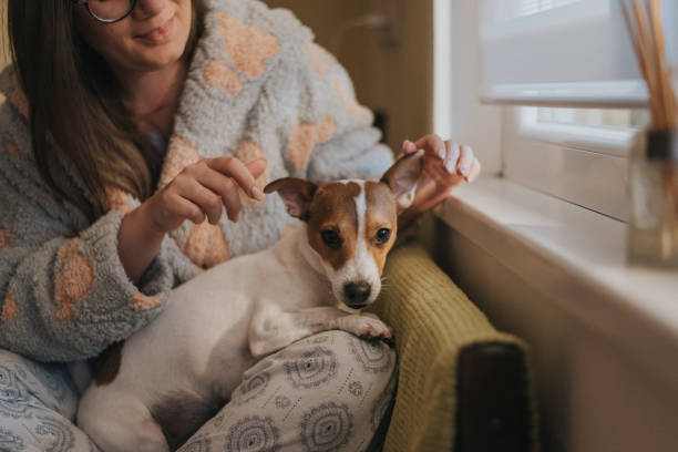 istock Woman is home alone 1215000568