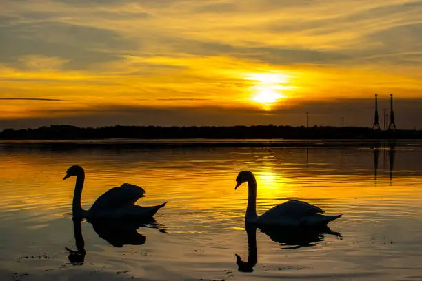 Photo of Sunset in Southampton coast (UK)