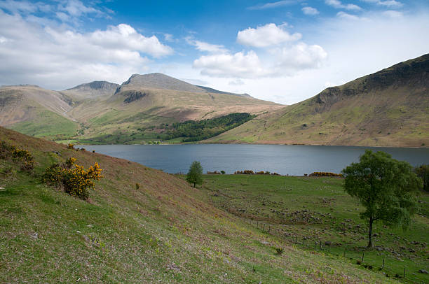 wastwater, a zona do lago, reino unido - wastwater lake imagens e fotografias de stock