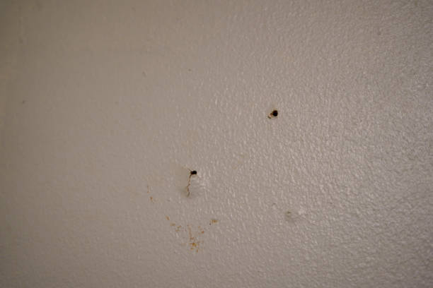 istock Screw hole in and old white wall 1215004899