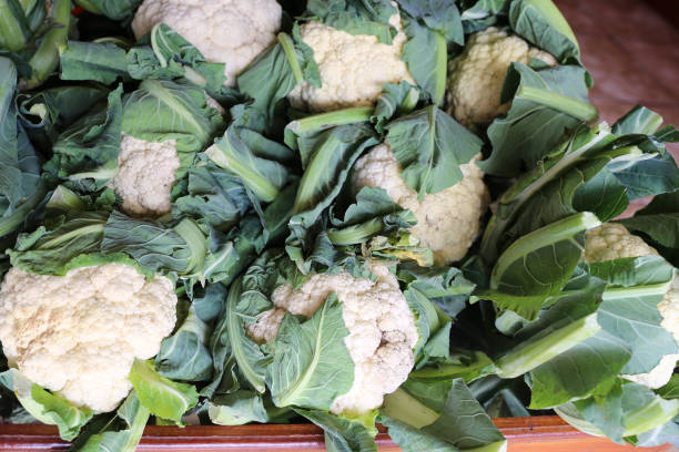 istock Cauliflowers from Costa Rica 1215006180