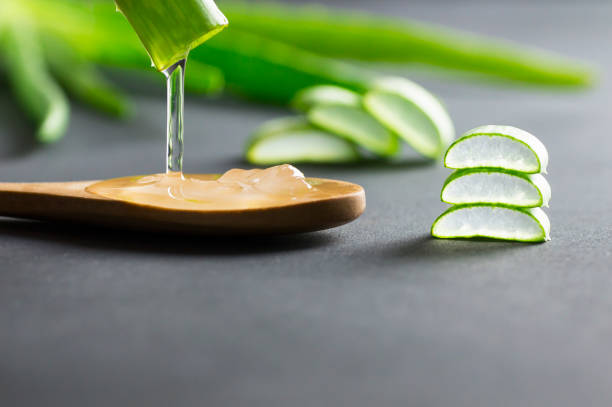 Aloe Vera gel close-up. Sliced Aloe vera plants leaf and gel with wooden spoon stock photo