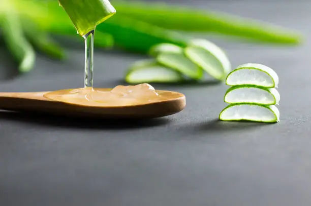 Aloe Vera gel close-up. Sliced Aloe vera plants leaf and gel with wooden spoon , natural organic cosmetic ingredients for sensitive skin, alternative medicine. Organic skin care concept