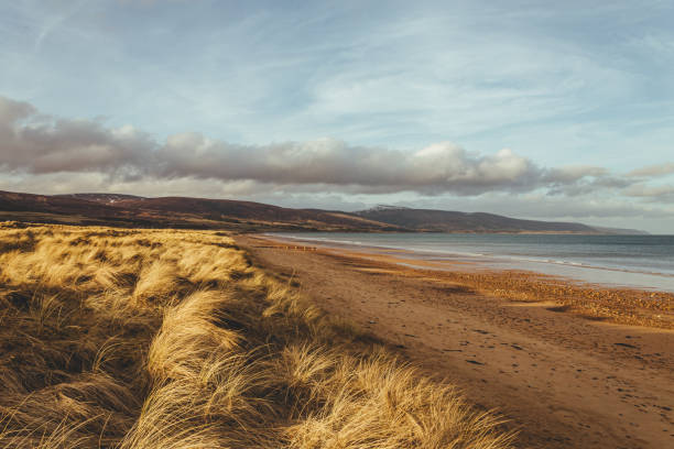 The shore line in Brora Village in Scotland, UK Scenic view of the beach at the North Sea side in Brora village in Scotland, UK moray firth stock pictures, royalty-free photos & images