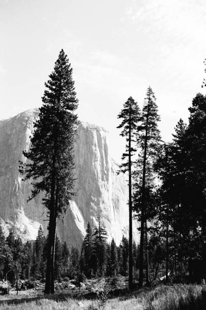 istock Yosemite national park 1215015276
