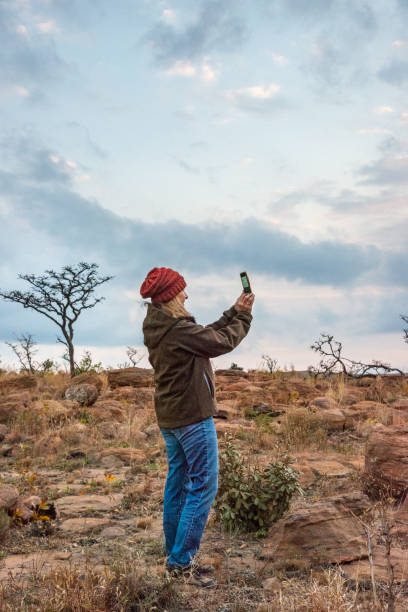 Woman (50s) photographing sunset on safari in South Africa. stock photo