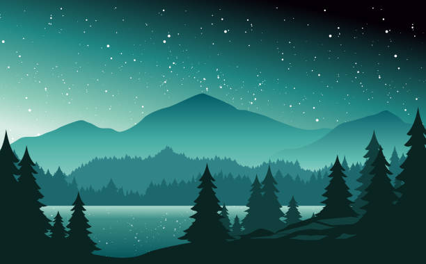 ilustrações de stock, clip art, desenhos animados e ícones de mountains and lake at night landscape flat vector illustration. nature scenery with fir trees and hill peaks silhouettes on horizon. valley, river and starry sky scene cartoon background. - landscape fir tree nature sunrise