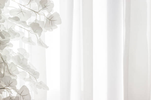 istock White leaves against a white curtain background air 1215018287